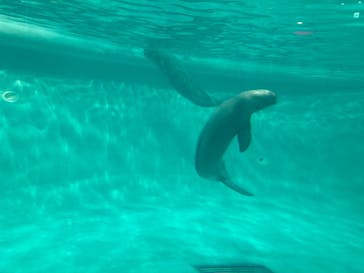 マリンワールド海の中道に投稿された画像（2022/3/23）