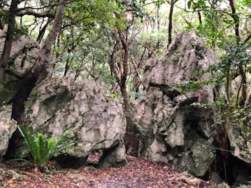 アスムイハイクスに投稿された画像（2022/3/23）