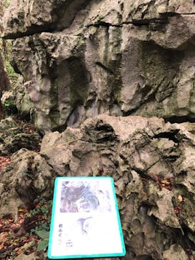 アスムイハイクスに投稿された画像（2022/3/23）