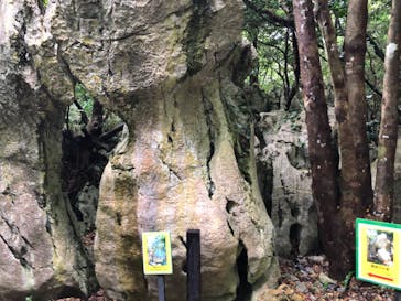 アスムイハイクスに投稿された画像（2022/3/23）