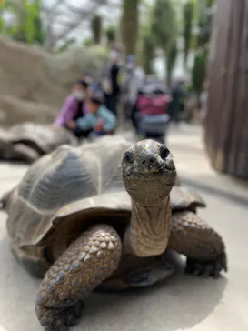 神戸どうぶつ王国に投稿された画像（2022/3/23）