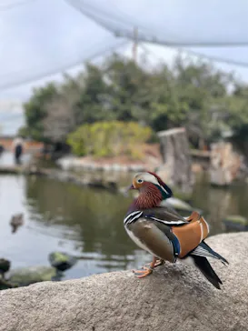 神戸どうぶつ王国に投稿された画像（2022/3/23）