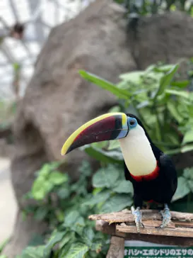 神戸どうぶつ王国に投稿された画像（2022/3/23）