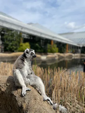 神戸どうぶつ王国に投稿された画像（2022/3/23）