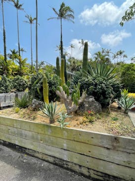 美らヤシパークオキナワ・東南植物楽園に投稿された画像（2022/3/23）