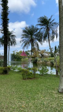 美らヤシパークオキナワ・東南植物楽園に投稿された画像（2022/3/23）