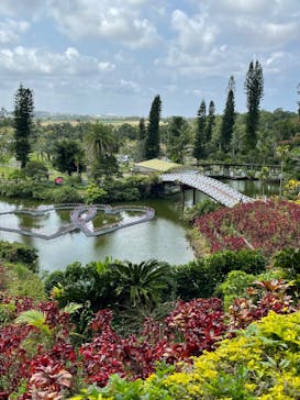 美らヤシパークオキナワ・東南植物楽園に投稿された画像（2022/3/23）
