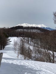 やぶはら高原スキー場に投稿された画像（2022/3/23）