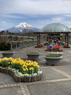 とっとり花回廊に投稿された画像（2022/3/23）