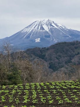 とっとり花回廊に投稿された画像（2022/3/23）