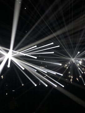 森ビル デジタルアート ミュージアム：エプソン チームラボボーダレスに投稿された画像（2022/3/23）