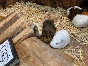 長崎バイオパークに投稿された画像（2022/3/23）