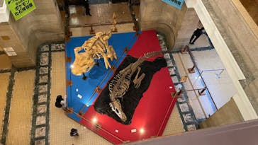 国立科学博物館　特別企画展「ポケモン化石博物館」に投稿された画像（2022/3/23）