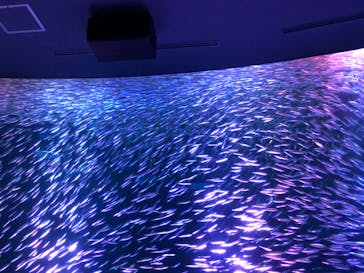 名古屋港水族館に投稿された画像（2022/3/23）