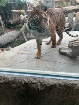 神戸どうぶつ王国に投稿された画像（2022/3/23）