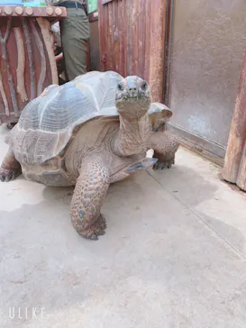 神戸どうぶつ王国に投稿された画像（2022/3/23）