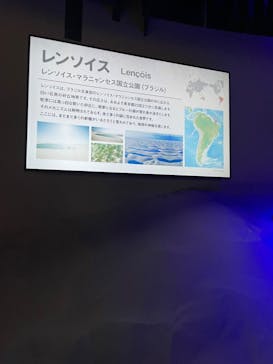 カワスイ 川崎⽔族館に投稿された画像（2022/3/24）