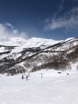 つがいけマウンテンリゾートに投稿された画像（2022/3/24）