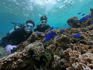 DIVING-SHOP SUNSに投稿された画像（2022/3/24）