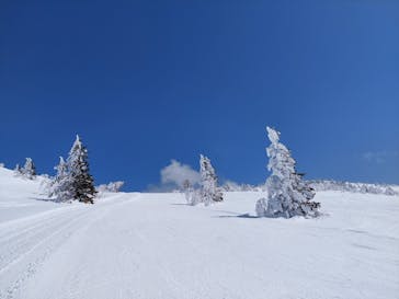 菅平高原スノーリゾートに投稿された画像（2022/3/24）