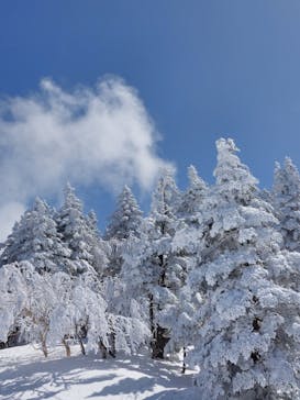 菅平高原スノーリゾートに投稿された画像（2022/3/24）
