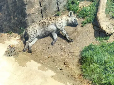 天王寺動物園に投稿された画像（2022/3/24）