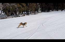 白馬乗鞍温泉スキー場に投稿された画像（2022/3/24）