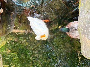 箱根湯本温泉 天成園に投稿された画像（2022/3/24）