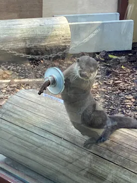 横浜・八景島シーパラダイスに投稿された画像（2022/3/24）