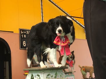 つくばわんわんランドに投稿された画像（2022/3/24）