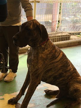 つくばわんわんランドに投稿された画像（2022/3/24）