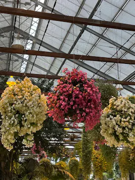 神戸どうぶつ王国に投稿された画像（2022/3/24）