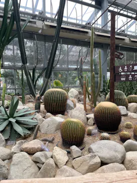 神戸どうぶつ王国に投稿された画像（2022/3/24）