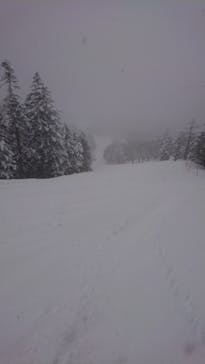 ピラタス蓼科スノーリゾートに投稿された画像（2022/3/24）