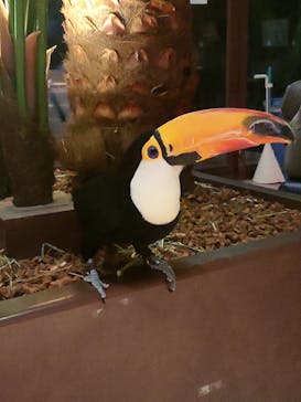 Moff animal world MARK IS みなとみらい店に投稿された画像（2022/3/24）