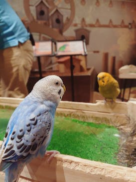 Moff animal world MARK IS みなとみらい店に投稿された画像（2022/3/24）