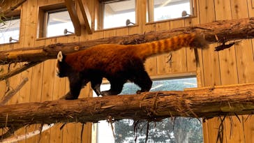 伊豆シャボテン動物公園に投稿された画像（2022/3/24）