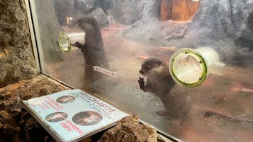 伊豆シャボテン動物公園に投稿された画像（2022/3/24）