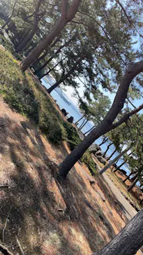 横浜・八景島シーパラダイスに投稿された画像（2022/3/24）