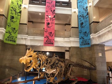 国立科学博物館　特別企画展「ポケモン化石博物館」に投稿された画像（2022/3/24）