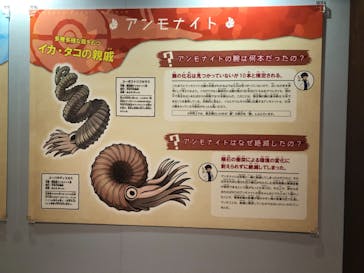 国立科学博物館　特別企画展「ポケモン化石博物館」に投稿された画像（2022/3/24）