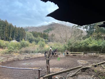 グリーングラス乗馬クラブに投稿された画像（2022/3/24）