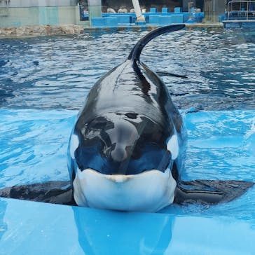 名古屋港水族館に投稿された画像（2022/3/24）