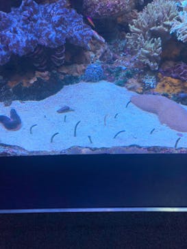 サンシャイン水族館に投稿された画像（2022/3/24）