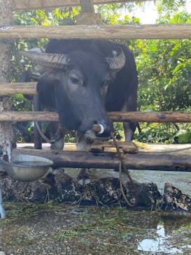 ビオスの丘に投稿された画像（2022/3/24）