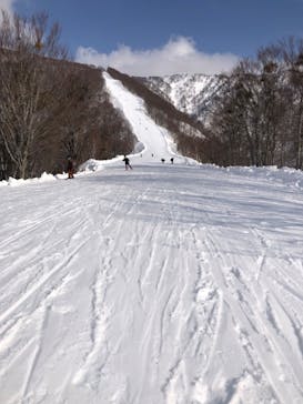 野沢温泉スキー場に投稿された画像（2022/3/24）