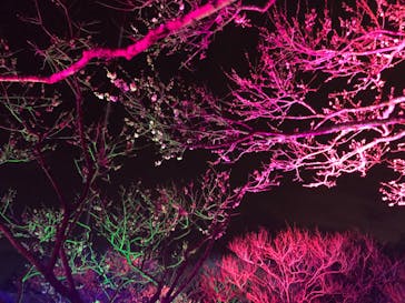 せんだい農業園芸センター　みどりの杜に投稿された画像（2022/3/24）