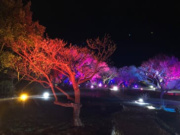 せんだい農業園芸センター　みどりの杜に投稿された画像（2022/3/24）