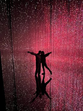 森ビル デジタルアート ミュージアム：エプソン チームラボボーダレスに投稿された画像（2022/3/24）