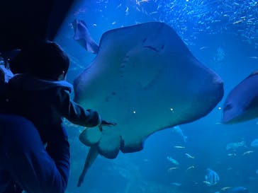 京都鉄道博物館×京都水族館に投稿された画像（2022/3/24）